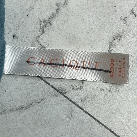 NWOT Cacique Lane Bryant Womans Bra Blue Lace Bow Full Coverage UNDERWIRE 42DDD - Picture 7 of 8